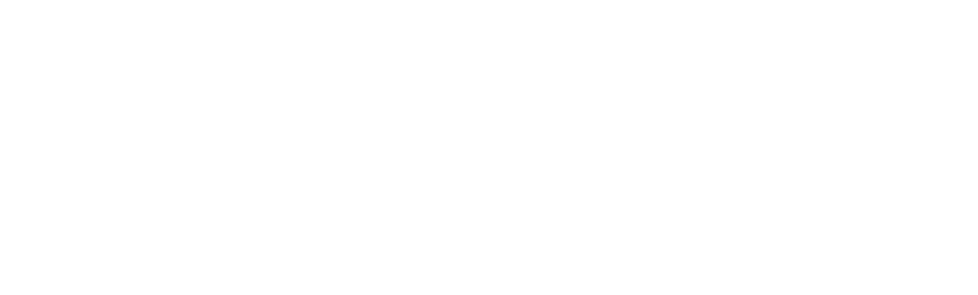 BIERWERK ZÜRI